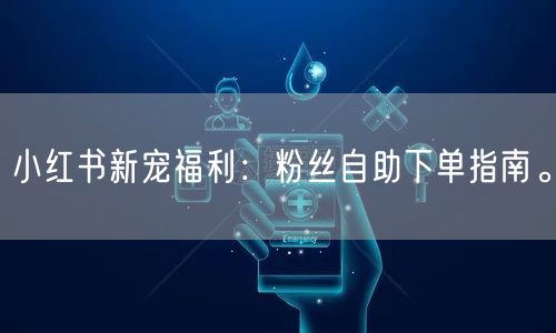 小红书新宠福利：粉丝自助下单指南。