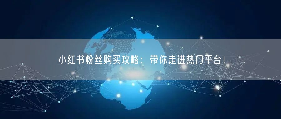 小红书粉丝购买攻略：带你走进热门平台！