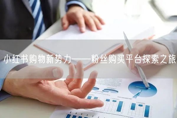 小红书购物新势力——粉丝购买平台探索之旅