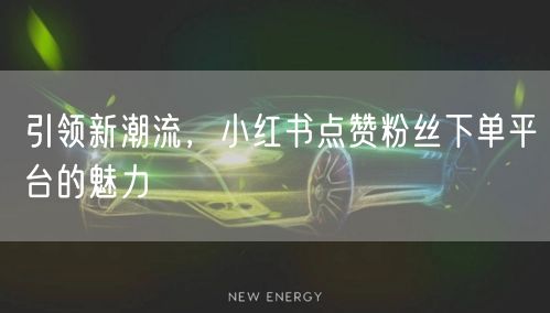 引领新潮流，小红书点赞粉丝下单平台的魅力