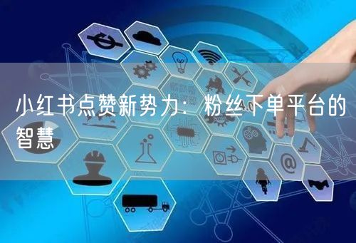小红书点赞新势力：粉丝下单平台的智慧