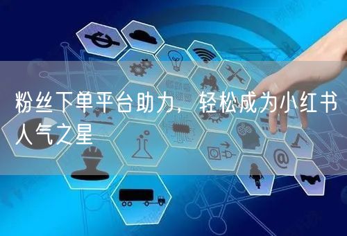 粉丝下单平台助力，轻松成为小红书人气之星
