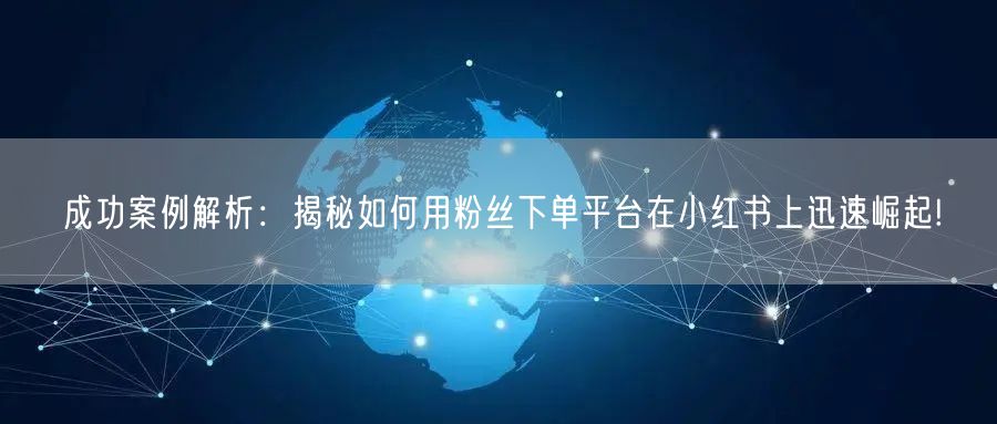 成功案例解析：揭秘如何用粉丝下单平台在小红书上迅速崛起!