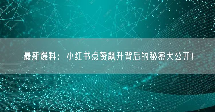 最新爆料：小红书点赞飙升背后的秘密大公开