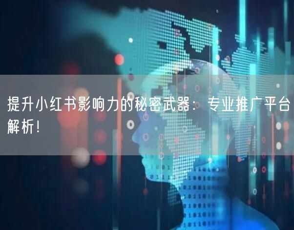 提升小红书影响力的秘密武器：专业推广平台解析！