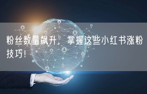 粉丝数量飙升，掌握这些小红书涨粉技巧！