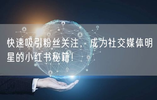 快速吸引粉丝关注，成为社交媒体明星的小红书秘籍！