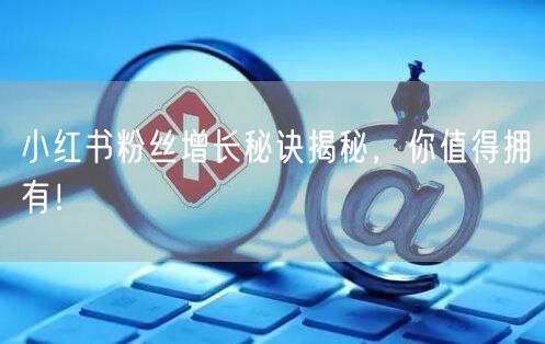 小红书粉丝增长秘诀揭秘，你值得拥有！