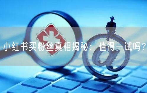 小红书买粉丝真相揭秘：值得一试吗？