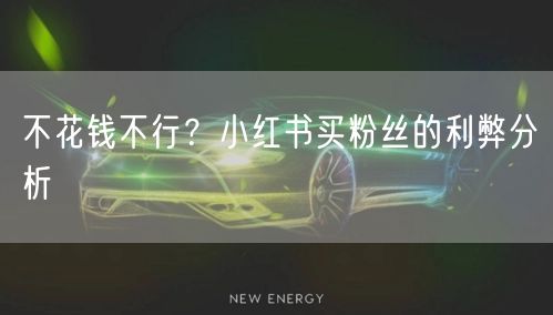 不花钱不行？小红书买粉丝的利弊分析