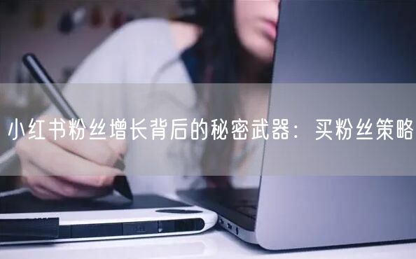 小红书粉丝增长背后的秘密武器：买粉丝策略