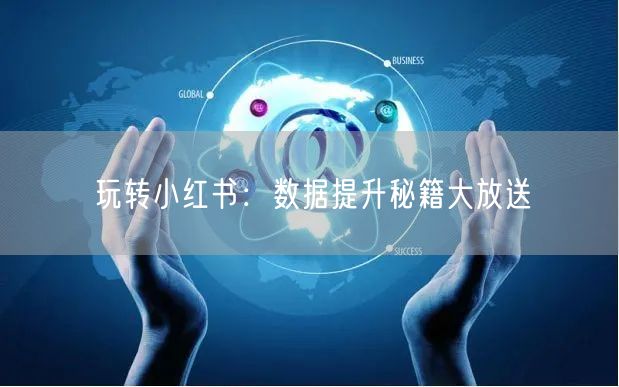 玩转小红书：数据提升秘籍大放送