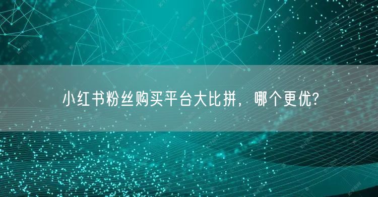 小红书粉丝购买平台大比拼，哪个更优?
