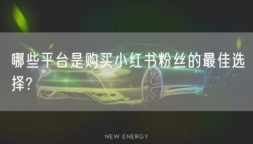 哪些平台是购买小红书粉丝的最佳选择?