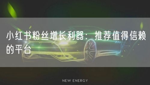 小红书粉丝增长利器：推荐值得信赖的平台