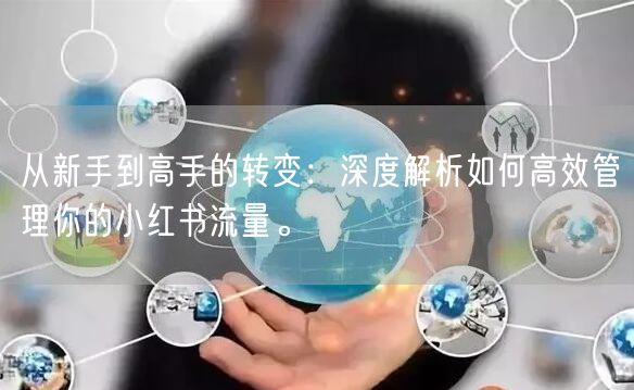 从新手到高手的转变：深度解析如何高效管理你的小红书流量。