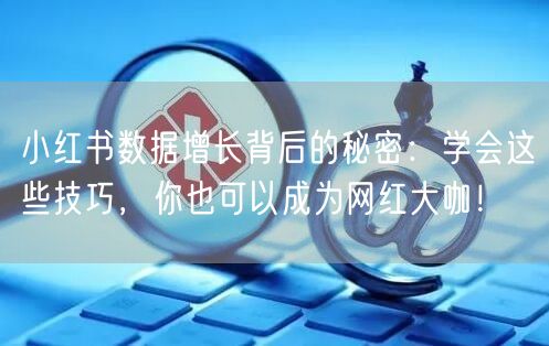 小红书数据增长背后的秘密：学会这些技巧，