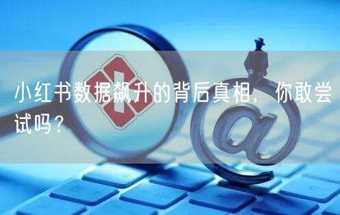 小红书数据飙升的背后真相，你敢尝试吗？