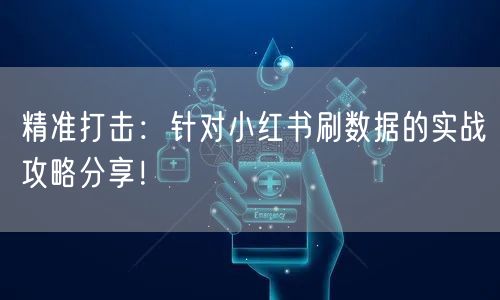 精准打击：针对小红书刷数据的实战攻略分享