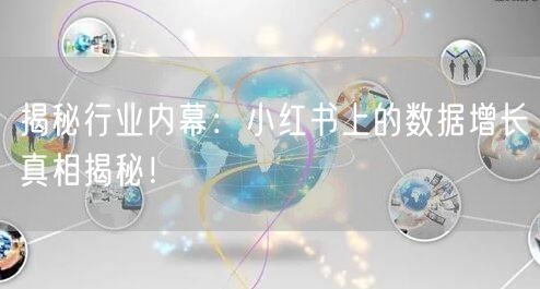 揭秘行业内幕：小红书上的数据增长真相揭秘
