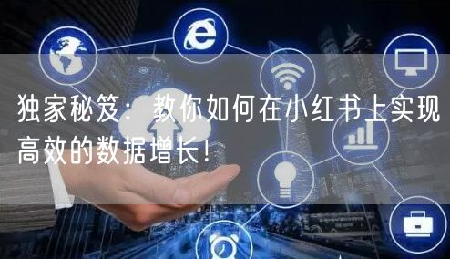 独家秘笈：教你如何在小红书上实现高效的数
