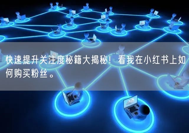 快速提升关注度秘籍大揭秘！看我在小红书上如何购买粉丝。