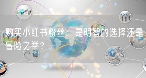 购买小红书粉丝：是明智的选择还是冒险之举