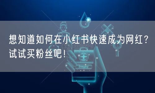 想知道如何在小红书快速成为网红？试试买粉