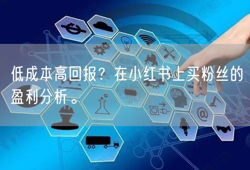 低成本高回报？在小红书上买粉丝的盈利分析