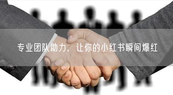 专业团队助力，让你的小红书瞬间爆红