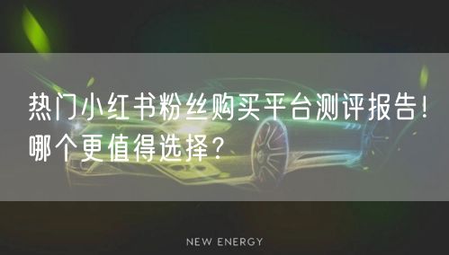 热门小红书粉丝购买平台测评报告！哪个更值得选择？
