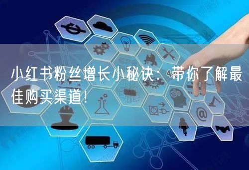 小红书粉丝增长小秘诀：带你了解最佳购买渠道！