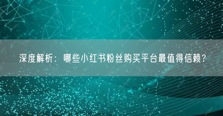 深度解析：哪些小红书粉丝购买平台最值得信赖？