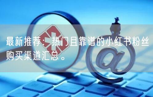 最新推荐：热门且靠谱的小红书粉丝购买渠道