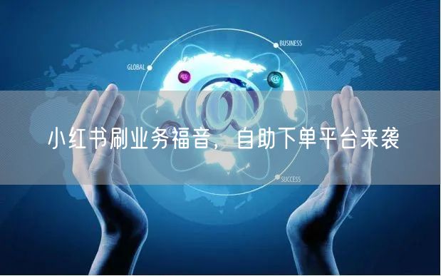 小红书刷业务福音，自助下单平台来袭
