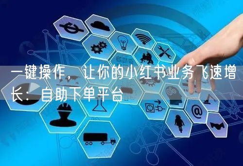 一键操作，让你的小红书业务飞速增长：自助下单平台