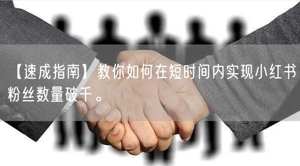 【速成指南】教你如何在短时间内实现小红书粉丝数量破千。