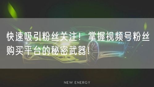快速吸引粉丝关注！掌握视频号粉丝购买平台的秘密武器！