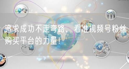 追求成功不走弯路，看准视频号粉丝购买平台的力量！