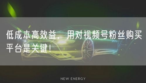 低成本高效益，用对视频号粉丝购买平台是关键！