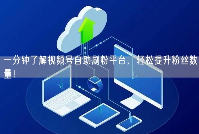 一分钟了解视频号自助刷粉平台，轻松提升粉