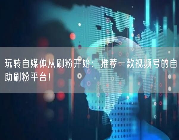 玩转自媒体从刷粉开始：推荐一款视频号的自助刷粉平台！