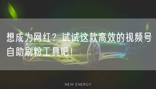 想成为网红？试试这款高效的视频号自助刷粉工具吧！
