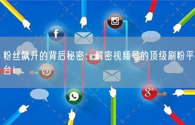 粉丝飙升的背后秘密：解密视频号的顶级刷粉