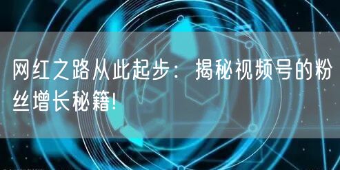 网红之路从此起步：揭秘视频号的粉丝增长秘