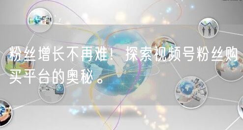 粉丝增长不再难！探索视频号粉丝购买平台的