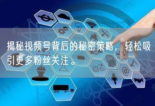揭秘视频号背后的秘密策略，轻松吸引更多粉