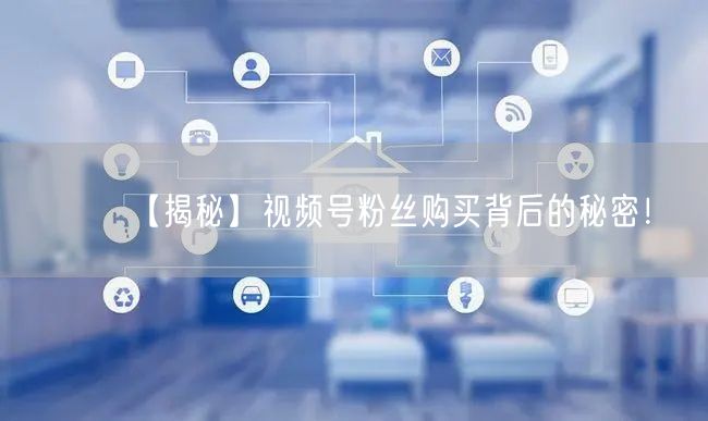 【揭秘】视频号粉丝购买背后的秘密！