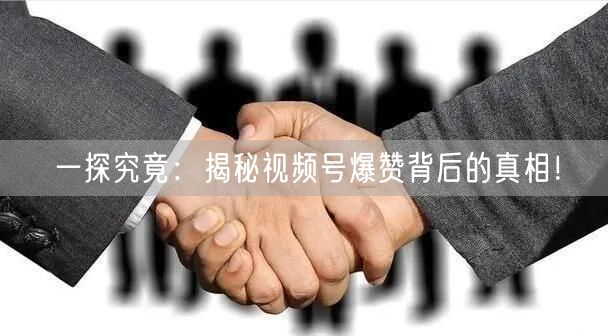 一探究竟：揭秘视频号爆赞背后的真相！