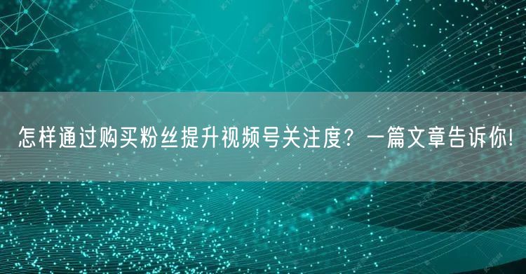 怎样通过购买粉丝提升视频号关注度？一篇文章告诉你!
